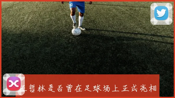 王哲林是否曾在足球场上正式亮相?