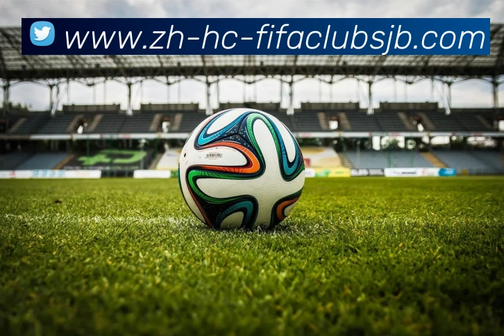 世界杯赛程平台生态图